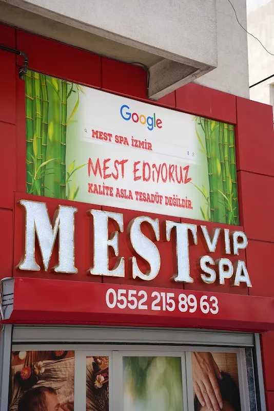 MEST SPA