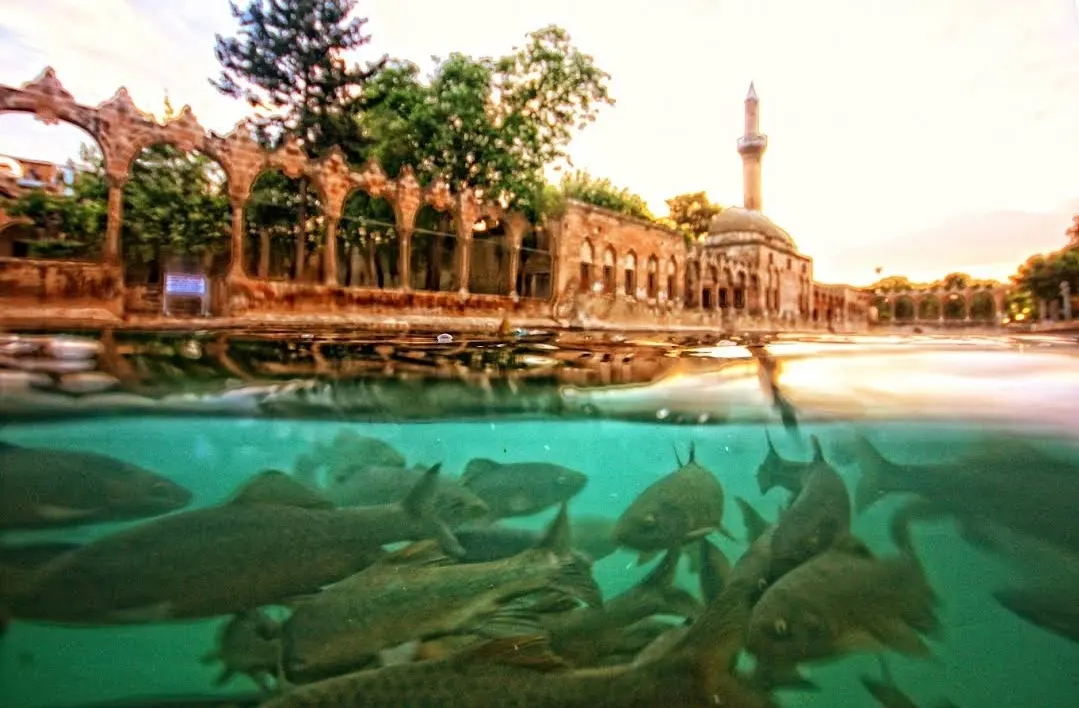 Balıklıgöl